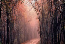 开云体育app-多伦多猛龙险胜TL，瓦林卡打出惊人五杀焦点之战成都决赛之夜，锁定晋级资格