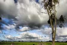 开云体育APP下载-梅阿查惊魂夜！数据背后的国米险胜密码：一场让心跳骤停的绝地反击