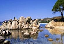 开云APP-里昂强势英格兰，莱万绝境逆转：足球舞台的激情与奇迹