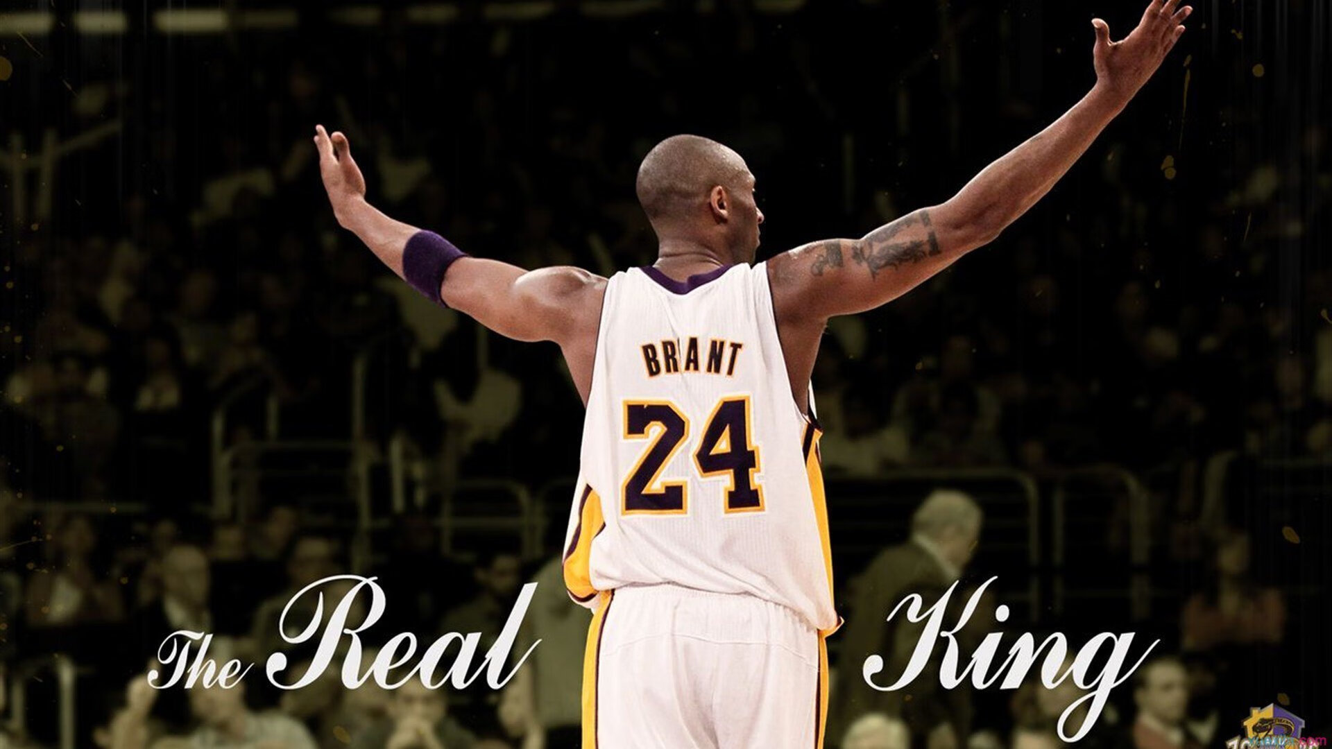 开云体育在线-绿茵场上的双面叙事，莫德里奇带队取胜与加纳力克日本的战术启示